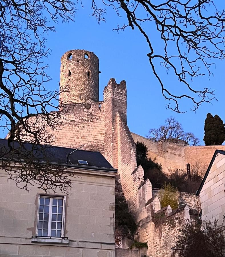 Le Rabelais, Superbe Appartement En Duplex, Proche Forteresse Et Monument Historique Chinon Buitenkant foto