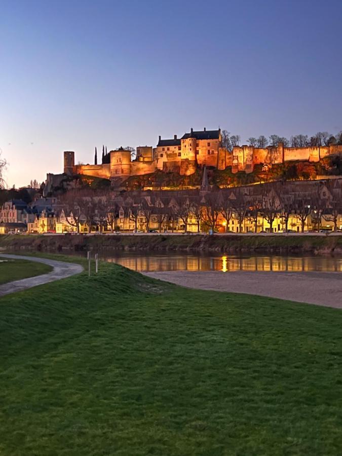 Le Rabelais, Superbe Appartement En Duplex, Proche Forteresse Et Monument Historique Chinon Buitenkant foto